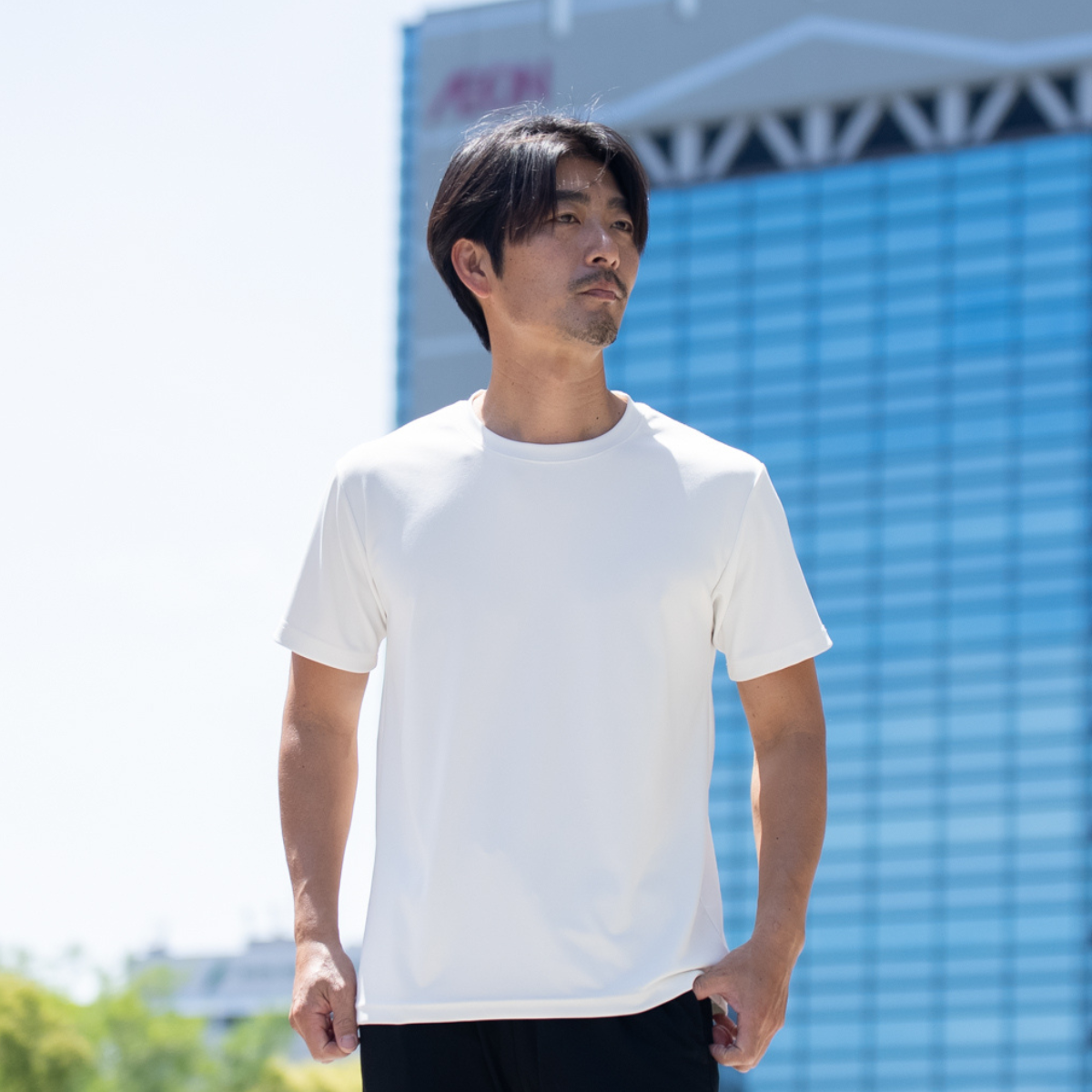 Premium Non Iron T-shirts